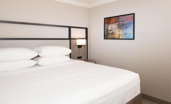 King Room - Mobility Access/Hearing Accessible